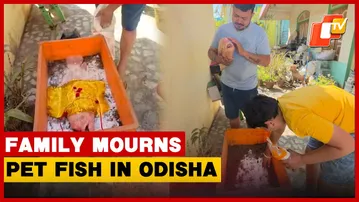 Family Mourns Pet Fish After 20-Year Bond In Odisha, Performs Last Rites