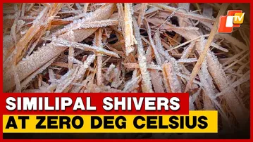 Cold Wave Tightens Grip On Odisha, SimilipalAt Zero Degree Celsius