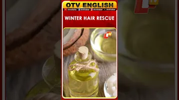 Best Winter Oils for Deep Hair Nourishment