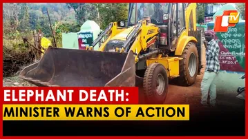 Odisha Elephant Death: Forest Minister Warns Of Strict Action Against All Guilty
