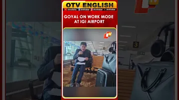 Piyush Goyal Works On Files At Delhi Airport Ahead Of New Zealand FTA Trip