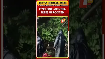 Strong Winds Uproot Trees In Guntur , Officials Swiftly Clear Roads