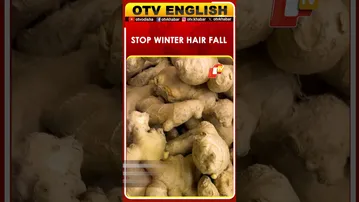 Ease Winter Joint Pain Naturally: 7 Foods That Fight Inflammation