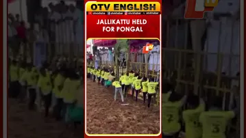 Jallikattu Event Held At Vadamalapuram For Pongal Festival