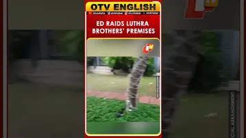 Goa Fire Case: ED Conducts Searches At Eight Locations Linked To Luthra Brothers