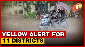 IMD Predicts Rainfall, Issues Yellow Alert For 11 Odisha Districts