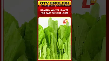 5 Best Winter Greens for Weight Loss Without Any Complications | OTV