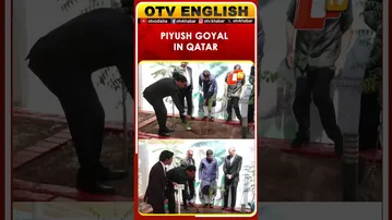 Union Minister Piyush Goyal Plants Sapling At Indian Embassy In Doha During Qatar Visit