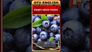 Kidney Health: 5 Foods That Support Natural Detox and Filtration | OTV