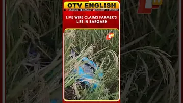 Farmer Electrocuted While Spraying Pesticides At His Farmland In Bargarh