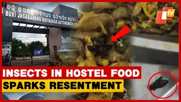 Insects In Bhubaneswar BJB college Hostel Food Sparks Resentment Among Students