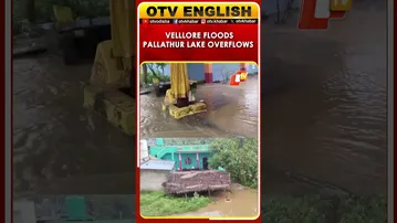 Pallathur Lake Overflows After Heavy Rain In Vellore