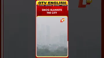 WATCH | Smog Blankets Kalanagar Area Of Bandra East, Maharashtra