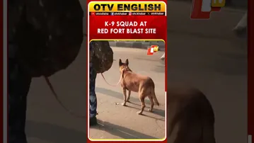 Red Fort Blast: K-9 Squad Joins Security Check At Explosion Site
