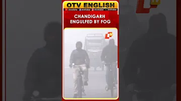 Cold Wave And Thick Fog Engulf Chandigarh This Morning
