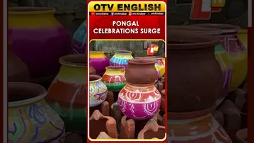 Thoothukudi, Tamil Nadu: Pongal Celebrations Draw Huge Crowds