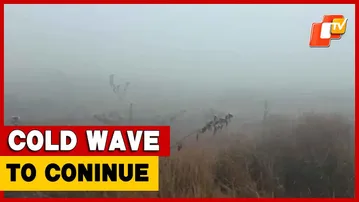 Odisha To Remain In Grip Of Cold Wave For Two More Weeks