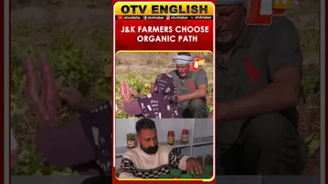 J&K’s Kambal Danga Farmers Embrace Organic Farming As Women Launch Traditional Pickle Unit