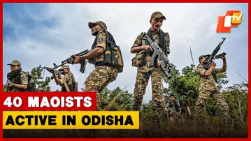 40 Maoists Active In Odisha, Presence Across Six Districts: CM Tells Assembly | OTV