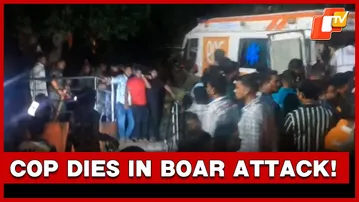 Police Officer Dies While Rescuing Tourists From Wild Boar Attack | OTV