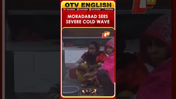 Moradabad, Uttar Pradesh: Severe Cold Wave And Dense Fog