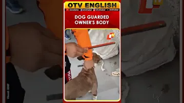 SDRF Rescues Dog Guarding Owner's Body In Himachal Pradesh