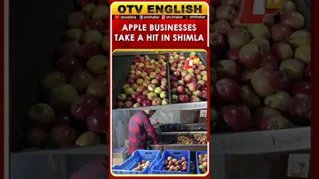 Apple Businesses Disrupted Amid Severe Weather Conditions In Himachal Pradesh