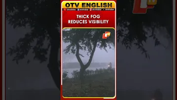 Thick Fog Reduces Visibility In Chandigarh