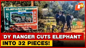 Elephant Cut Into 32 Pieces In Odisha: Suspended Deputy Ranger Faces Cover-Up Charges | OTV