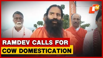 Swami Ramdev Urges Hindus To Domesticate Cows For Protection