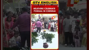 Believers At St Matthias Catholic Church Celebrate Pongal In Chennai