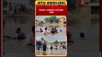 Rahul Gandhi Jumps Into A Pond, Participates In Traditional Process Of Catching Fish In Begusarai