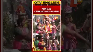 Pongal Celebrations By Tamil Nadu Government At Tamil Nadu House In Delhi