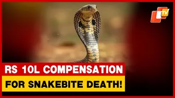 Odisha Likely To Raise Snakebite Death Compensation From Rs 4L To Rs 10L: Minister