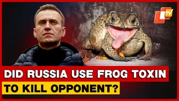 European Nations Accuse Russia Of Poisoning Opposition Leader Alexei Navalny With Rare Toxin