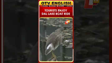 J&K: Tourists Enjoy Winter And Boat Ride In Srinagar Dal Lake