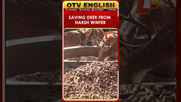 Mercury Drops, Compassion Rises: Deer Get Special Care In Udhampur