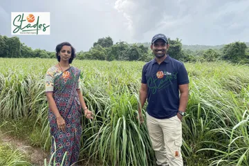 Gauri-dilip-parab-lemongrass-farming-lead-30stades