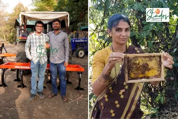 newsletter-oct-12-2025