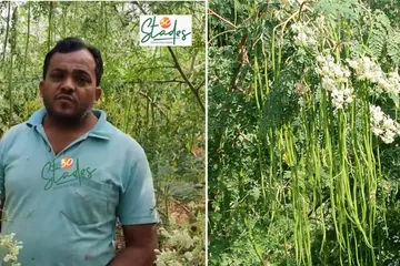 prakash-udagatti-drumstick-belgaum-lead-30stades