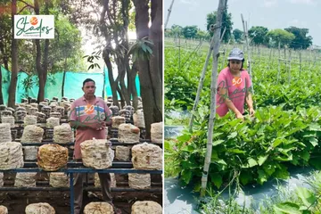 newsletter-jan11-2026-30stades