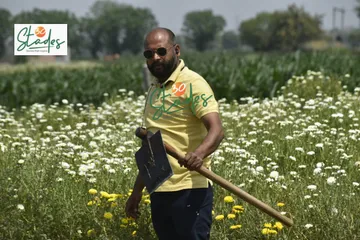 ravi-pal-marigold-farm-lead-30stades