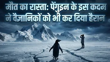 21 दिसंबर को करोड़ों लोग एक साथ करेंगे हार्टफुलनेस ध्यान (1)
