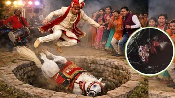 khandwa Wedding Accident Horse