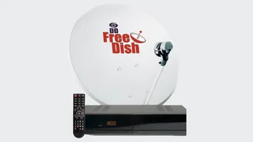 DD Freedish