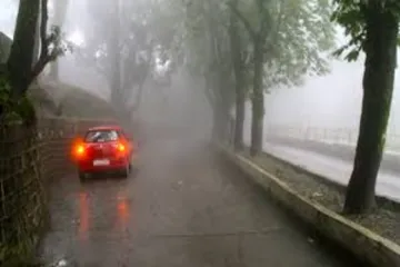 1000159411