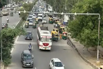 1000161917