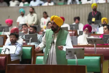 Punjab news