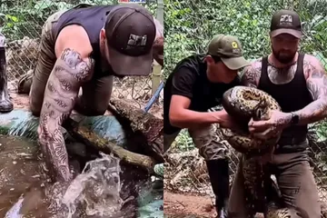Viral Video
