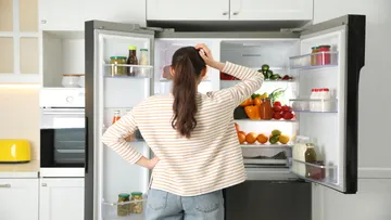 power outage fridge food safety